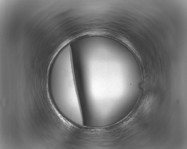 X0000061720853200512021040