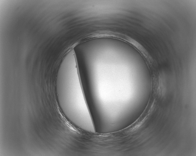 X0000061720857200512021040