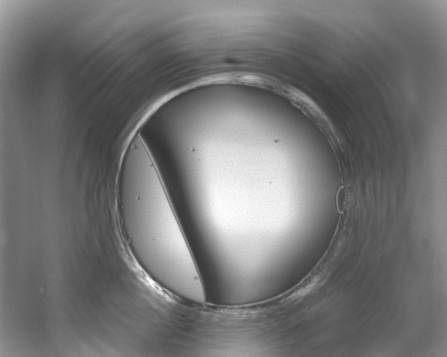 X0000061720860200512021040
