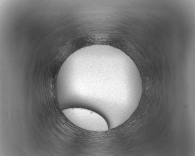 X0000061720866200512021040