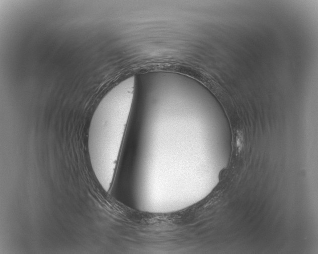 X0000061720867200512021040
