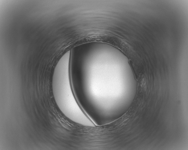 X0000061720868200512021040