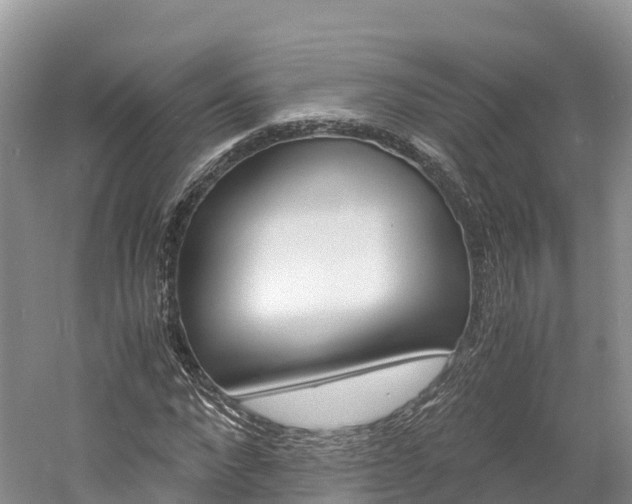 X0000061720872200512021039