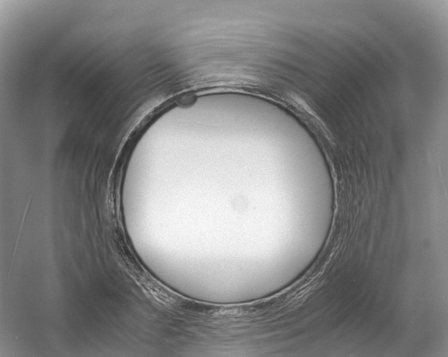 X0000061720883200512021039