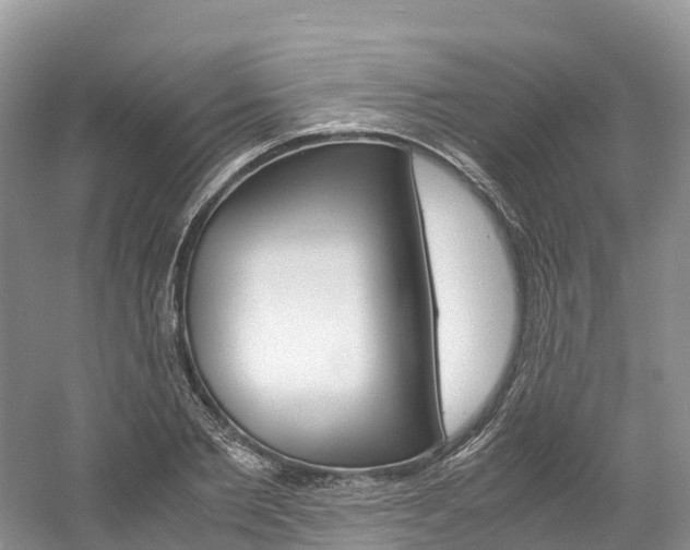 X0000061720885200512021039