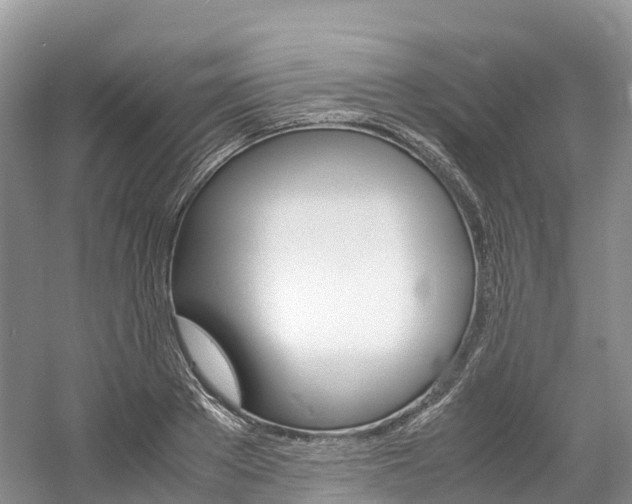 X0000061720889200512021039