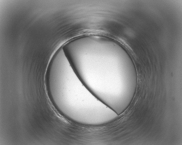 X0000061720891200512021039