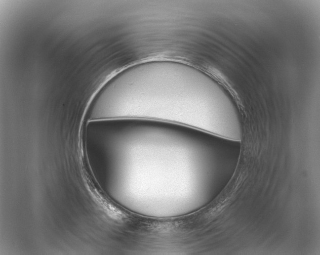 X0000061720892200512021039