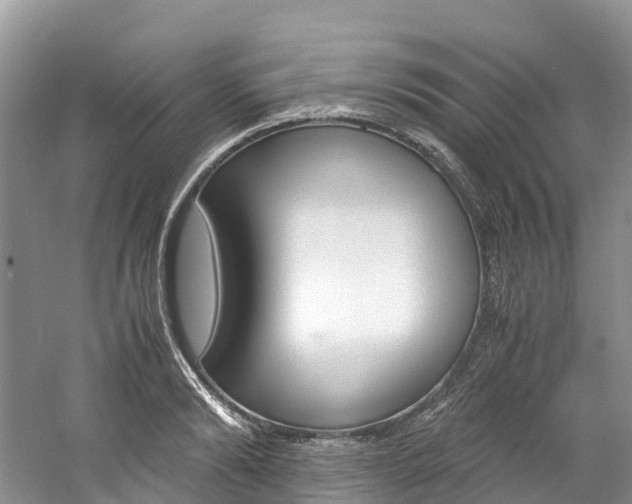 X0000061720894200512021039