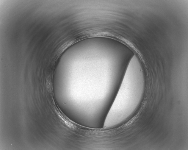 X0000061720897200512021039