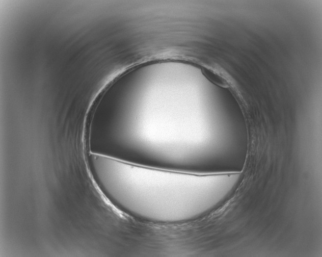 X0000061720902200512021039