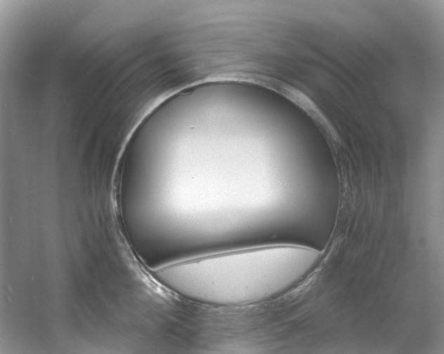 X0000061720908200512021039