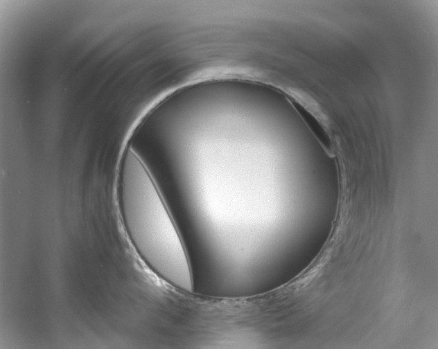 X0000061720912200512021039