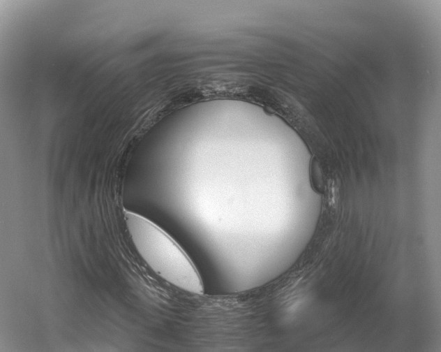 X0000061720915200512021038