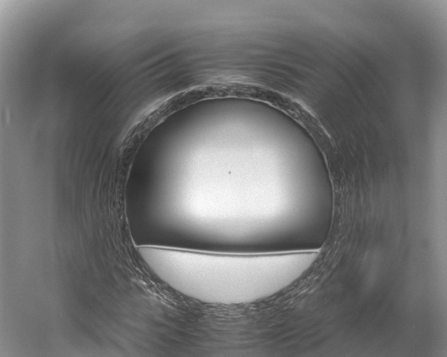 X0000061720919200512021038