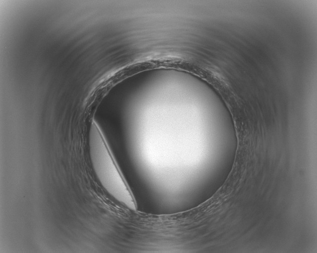 X0000061720920200512021038