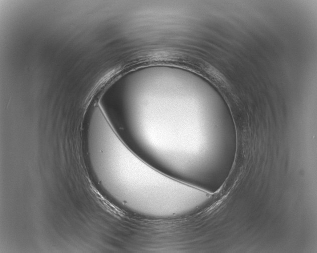 X0000061720930200512021038