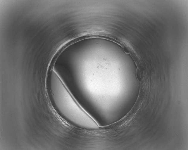 X0000061720932200512021038