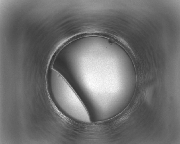 X0000061720935200512021038