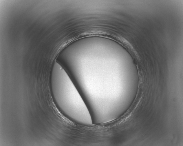 X0000061720937200512021038