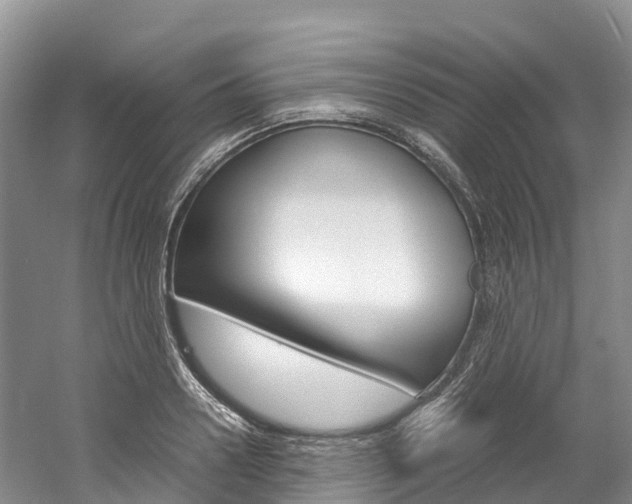 X0000061720938200512021038