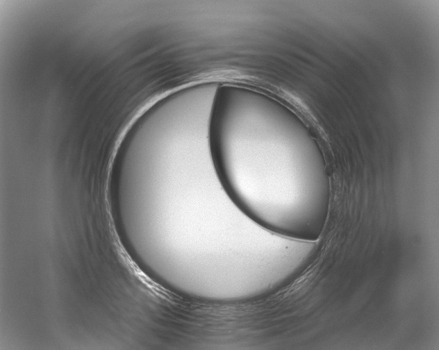 X0000061720939200512021038