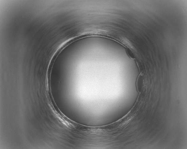 X0000061720940200512021038