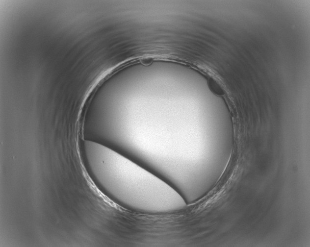 X0000061720941200512021038