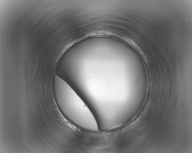 X0000061720945200512021039