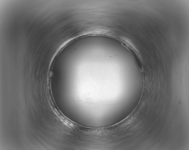 X0000061720948200512021039