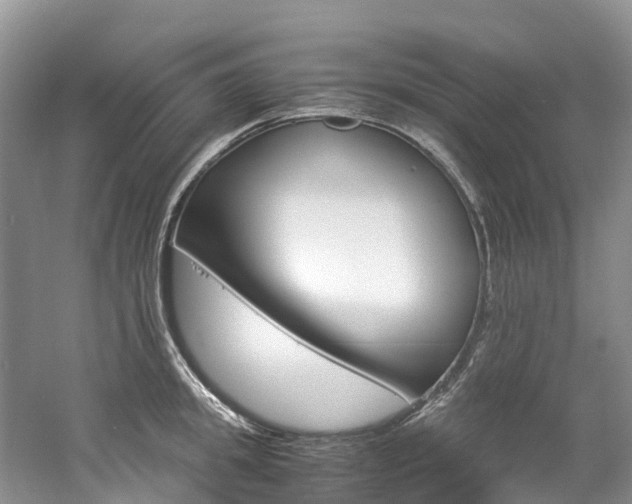 X0000061720949200512021039