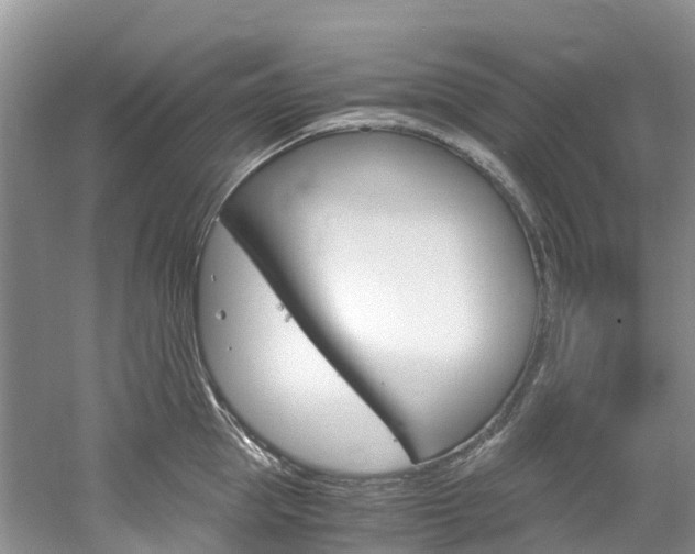 X0000061720953200512021039