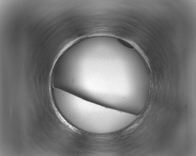 X0000061720957200512021039