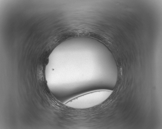 X0000061720963200512021038