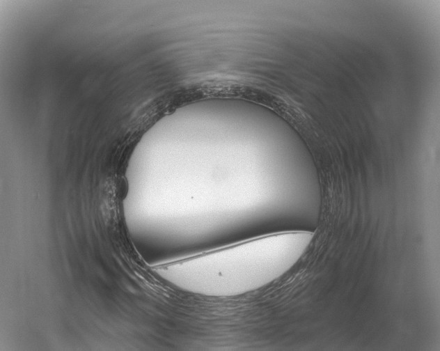 X0000061720964200512021038