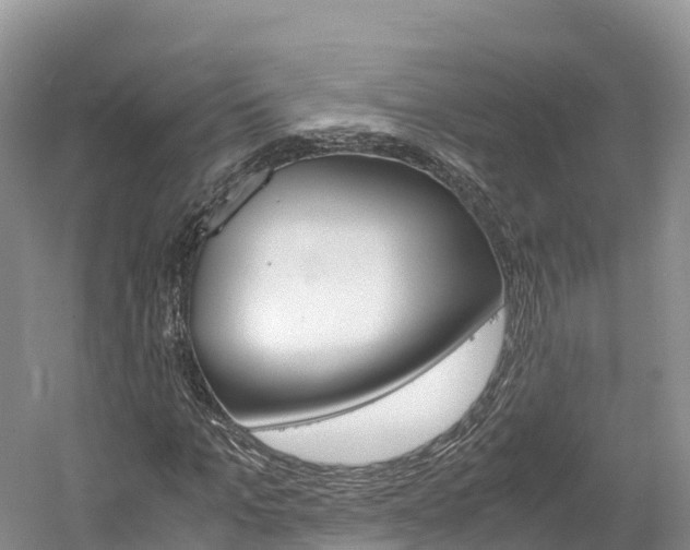X0000061720965200512021038