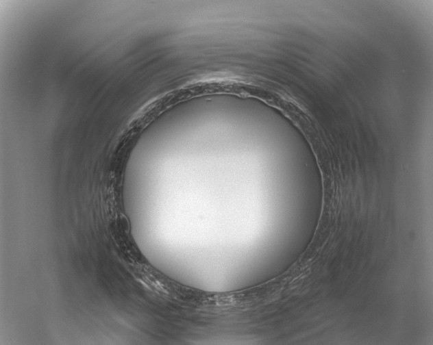 X0000061720968200512021038