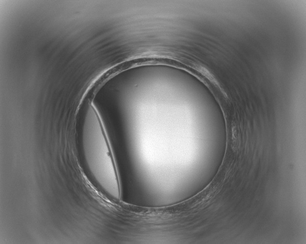 X0000061720972200512021038