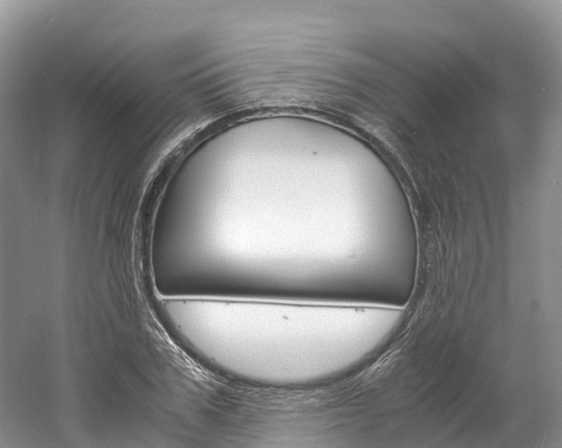 X0000061720979200512021038