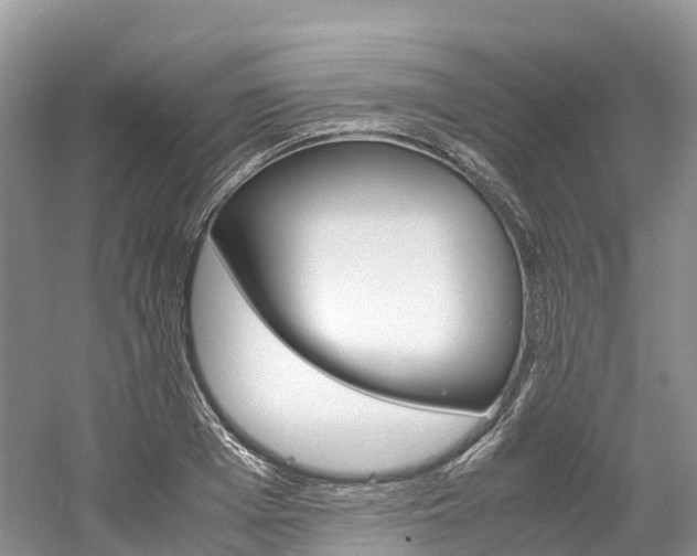 X0000061720985200512021038