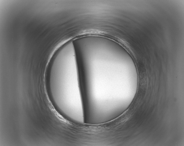 X0000061720987200512021037