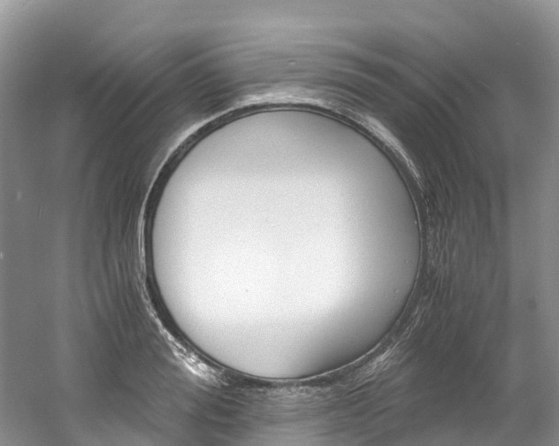 X0000061720988200512021037