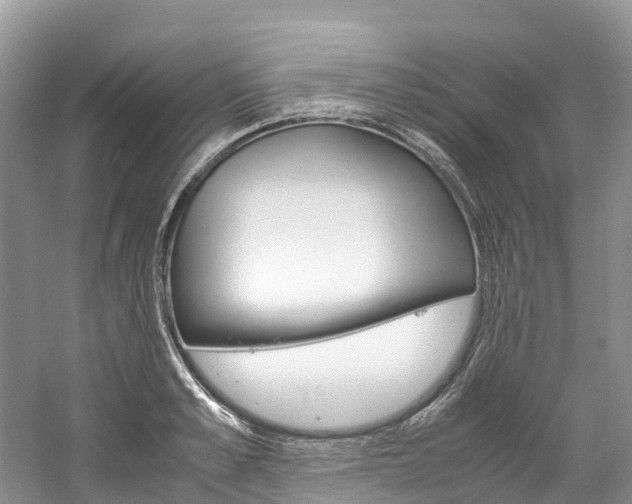 X0000061720989200512021037