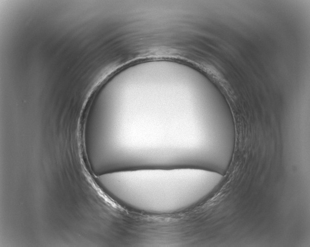 X0000061720990200512021037