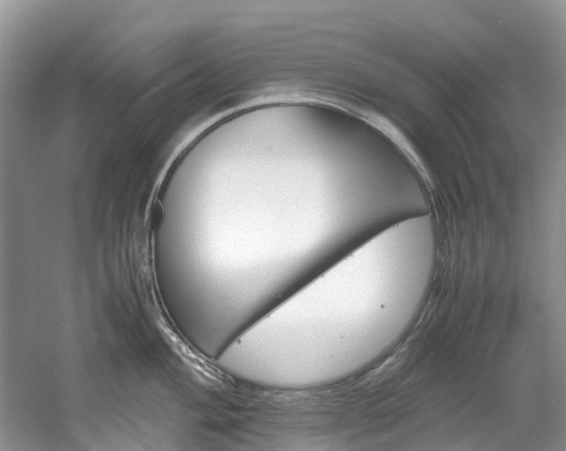 X0000061721004200512021037