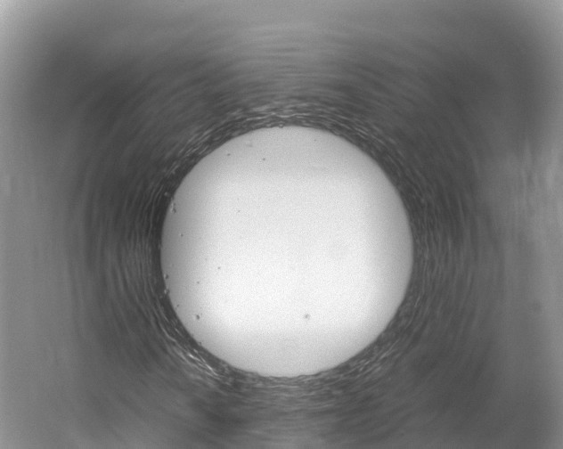 X0000061721010200512021036