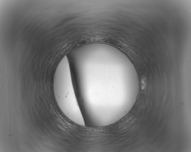 X0000061721011200512021036
