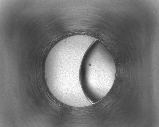 X0000061721012200512021036