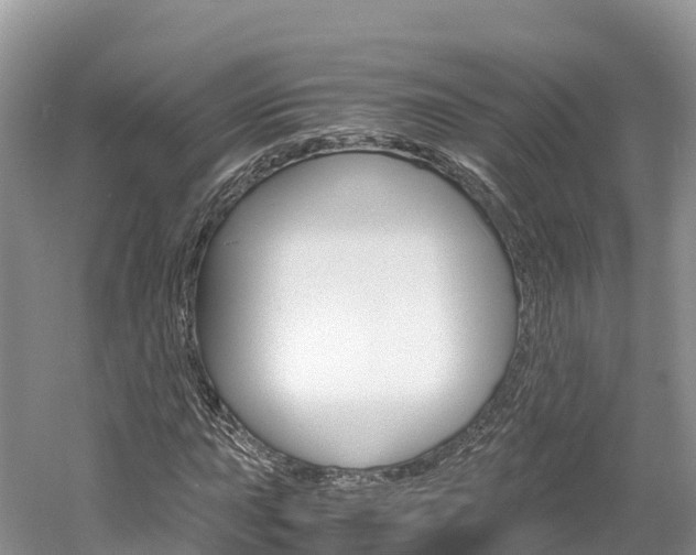 X0000061721015200512021036