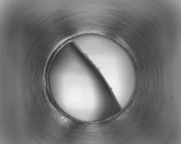 X0000061721028200512021037